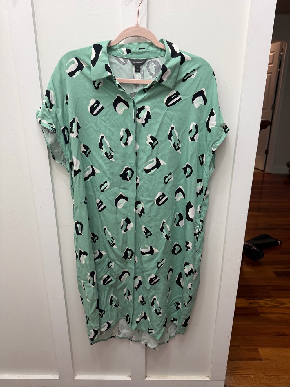 The Limited Mint Green Button-Up Shirt Dress with Abstract Black & Cream Print